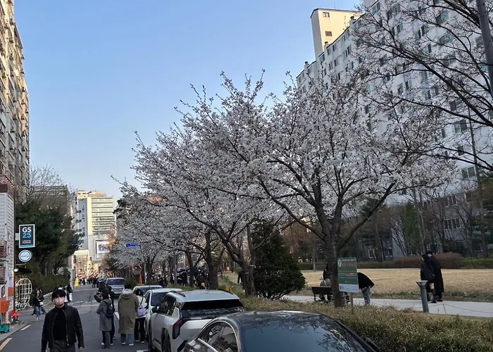 Urban Cozy -hongdae,