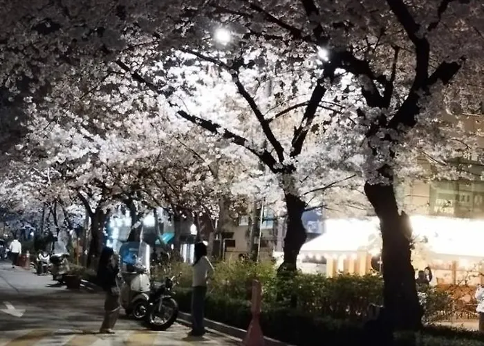 Urban Cozy -hongdae, アパート ソウル特別市