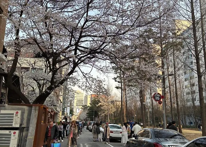 Urban Cozy -hongdae, * ソウル特別市