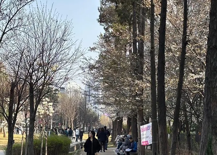 Urban Cozy -hongdae, * ソウル特別市