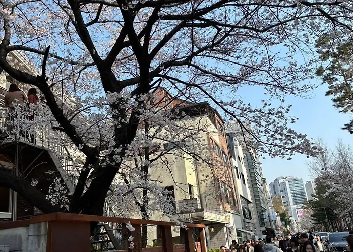 Urban Cozy -hongdae, アパート *