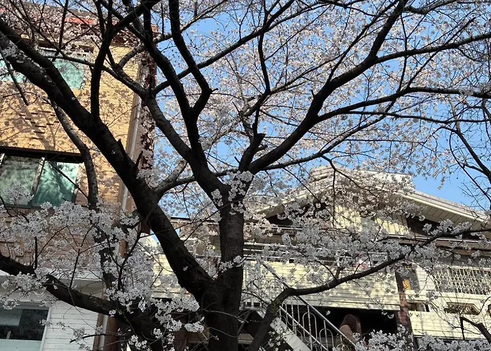 アパート Urban Cozy -hongdae, *