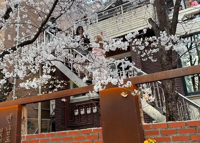 Urban Cozy -hongdae, アパート ソウル特別市