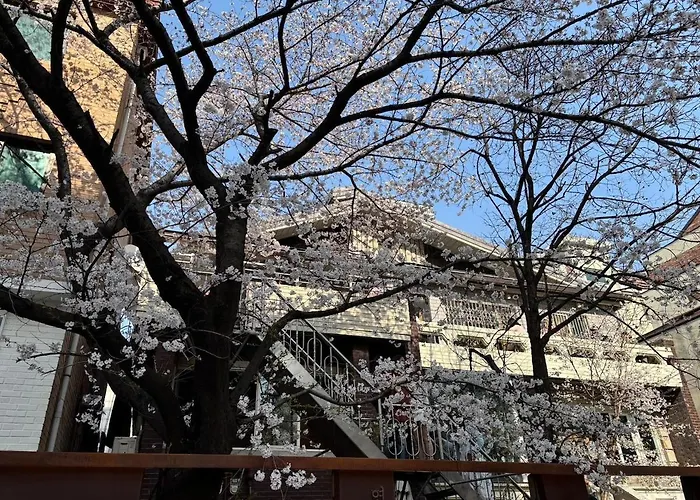 アパート Urban Cozy -hongdae, *